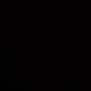 Meet your Posher, Dylan